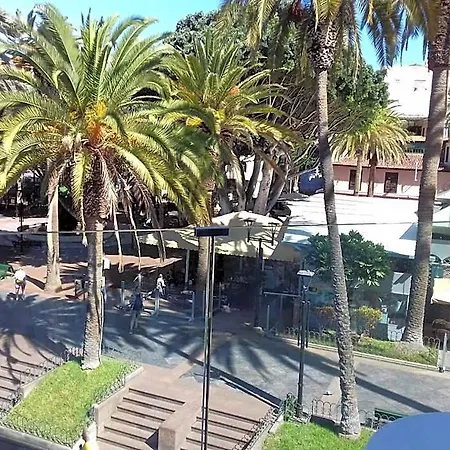 Tropical Puerto de la Cruz (Tenerife)