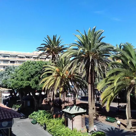 Tropical Puerto de la Cruz (Tenerife)