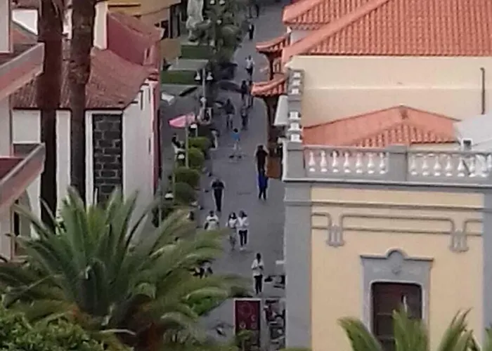 Tropical 3* プエルト・デ・ラ・クルス