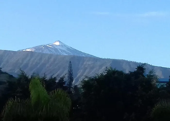 فندق Tropical بويرتو ذي لا كروز
